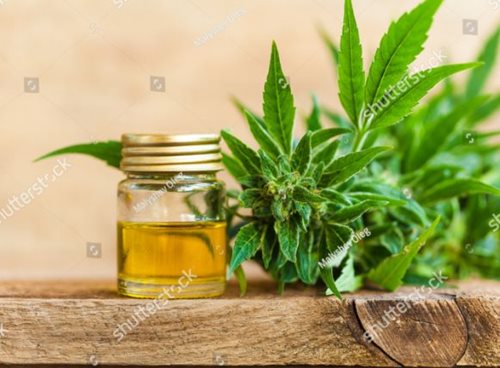 cbd